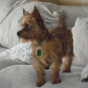 Meet your Posher, Eva